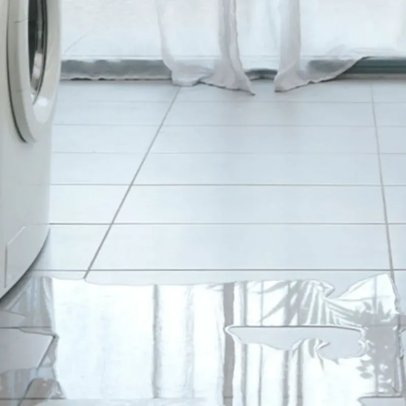 Appliance Leak Cleanup in Edgewater, FL