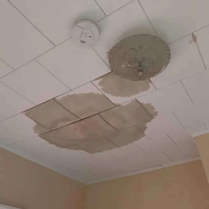 Ceiling Water Damage Repair in Edgewater, FL